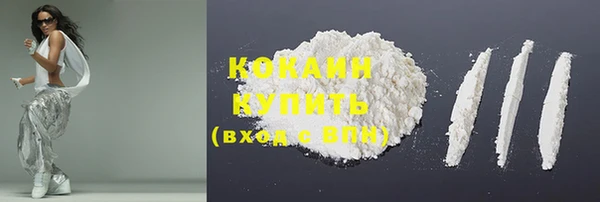 индика Лиски
