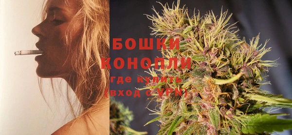 индика Лиски