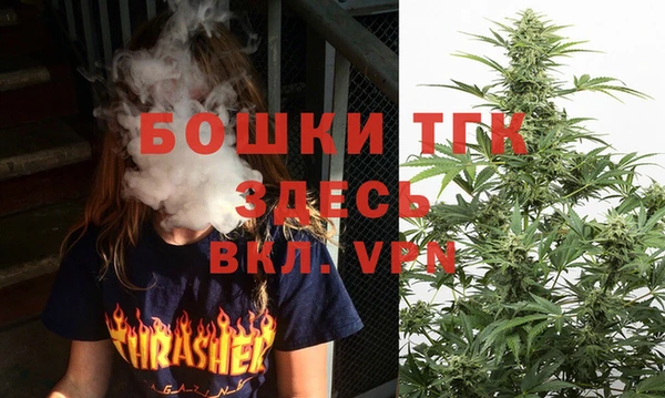 индика Лиски