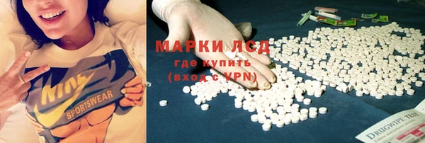 индика Лиски